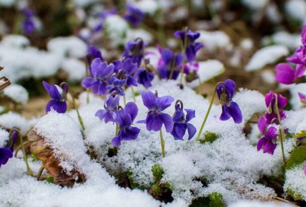 Szeszélyes időjárással kezdődik az április. Szombaton akár havazhat is