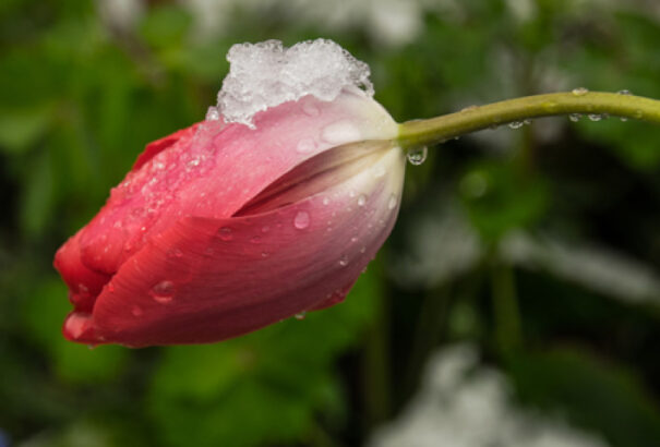 Csípős hidegre, esőre és havazásra is számíthatunk vasárnap