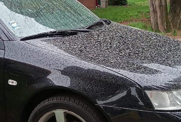 Időjárás-előrejelzés: Ne moss kocsit, érkezik a szaharai homok