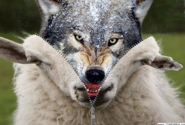 Nagy Erika: báránybőrbe bújt farkasok! – Miért verjük át és ültetjük fel egymást?