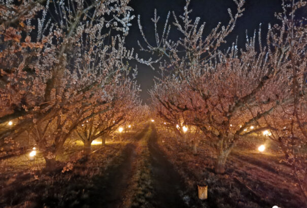 Éjszakai fagyra figyelmeztetnek a meteorológusok