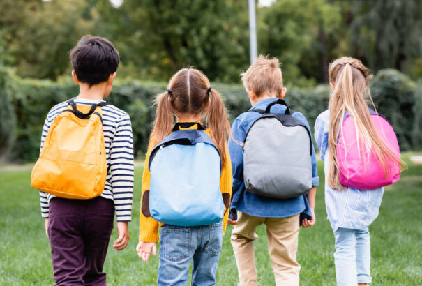 Megmaradni a gyökereknél – Kárpát-medencei vélemények az anyanyelven való tanulás fontosságáról