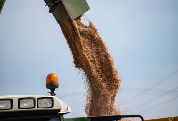 A németek a második világháború óta nem látott éhínségre figyelmeztetnek. Szlovákiában óvatos vita megy az exporttilalomról