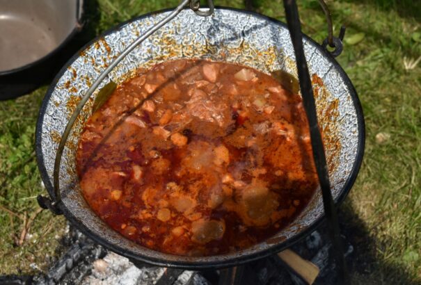 Medvesaljai Majális és bográcsfőző verseny – Képekkel
