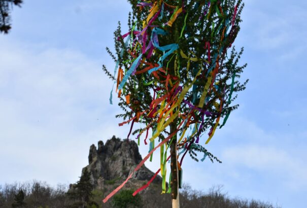 A májusfa ma a béke szimbóluma is – Képekkel