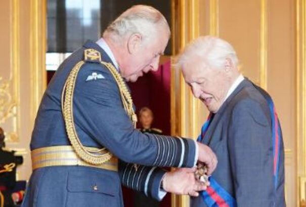 Királyi kitüntetést kapott David Attenborough a wales-i hercegtől