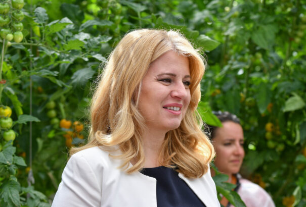 Čaputová az LMBTI közösségnek: Ti itthon vagytok, és nem veletek van a probléma