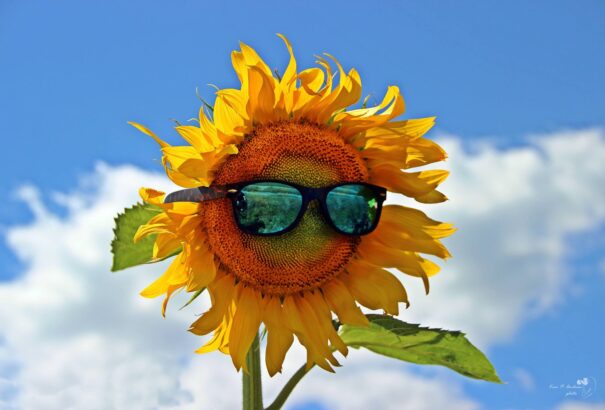 40 fokkal tetőzik a forróság, de néhol már zápor, zivatar is kialakulhat