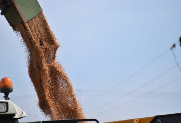 Az EU eljárást indított Magyarország ellen a gabonaexport ellenőrzése miatt. Szlovákia is sorra kerülhet