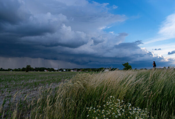 Nyugat-Európában már a végét járja a hőhullám. Mikor érkezik meg hozzánk az enyhülés?