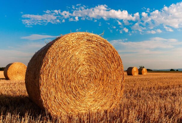 Közepesen felhős idővel folytatódik a hét