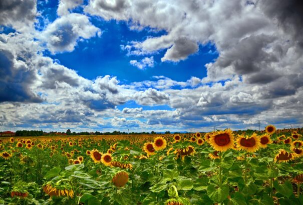 Napos, de kissé szeles idő várható kedden