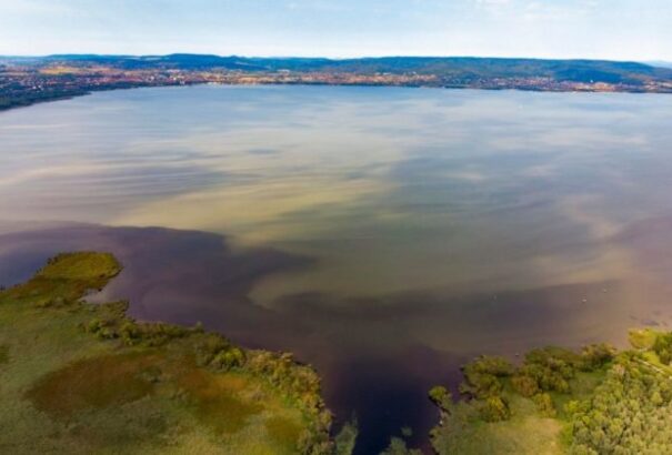 Újra megjelent a kékalga a Balatonban