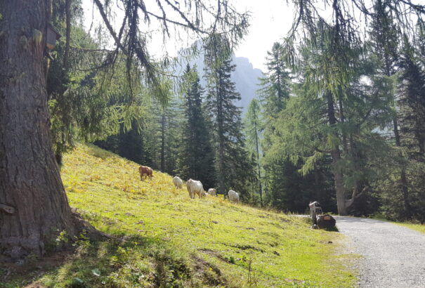 Enyhül kicsit az idő