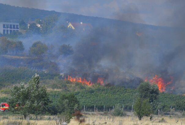 Szőlőültetvények égnek Récsén, tűzoltók küzdenek a lángokkal