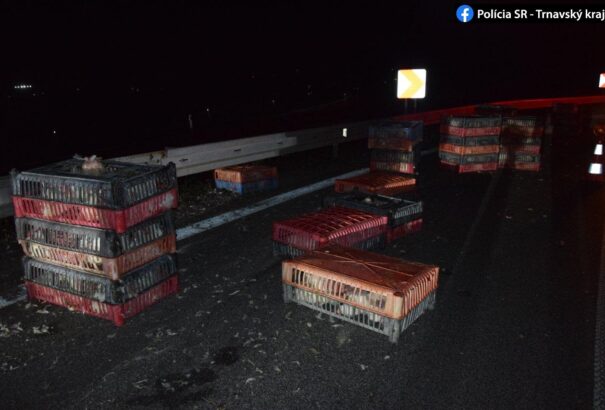 400 csirke esett ki a D1-es autópályára egy lengyel kamionból