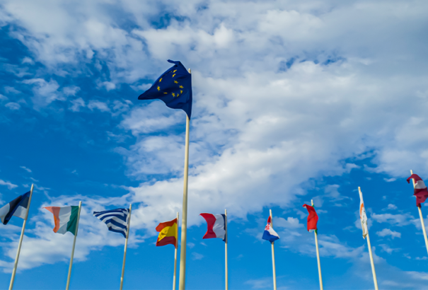 Micskó András: Az ostobák uralma