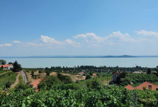 Fokozatosan visszatér a hőség, de ma még egy-egy zápor, zivatar tarkíthatja az időjárást