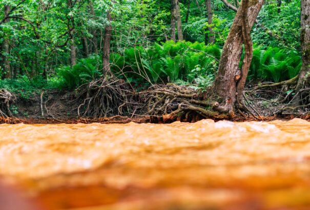 Folytatódik a Sajóba ömlő bányavíz tisztítása. Az üledékek továbbra is szennyezettek