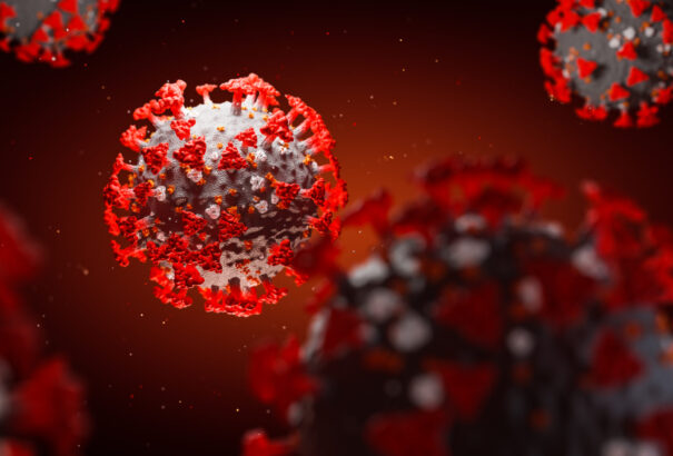 Kutatók feltárták a Sars-Cov-2 evolúciós történetét