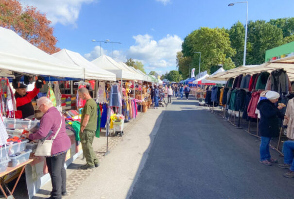 Megnyílt a jubileumi Csallóközi Vásár