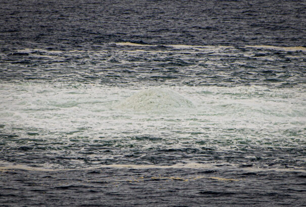 Orosz kémfőnök: Moszkvának adatai vannak a nyugati érintettségről