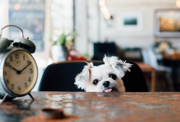 Ne feledjük, vasárnap hajnalban óraátállítás!