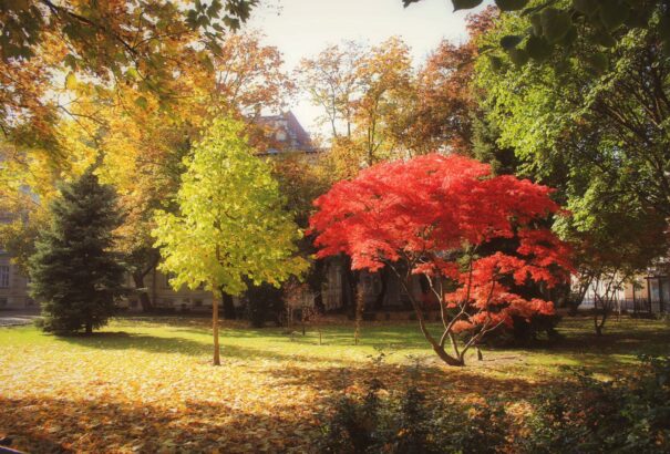 Folytatódik a vénasszonyok nyara
