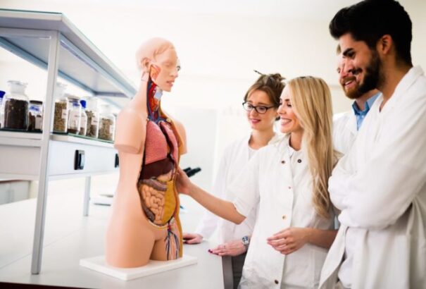 Matovič növelni szeretné a szlovákiai orvostanhallgatók számát