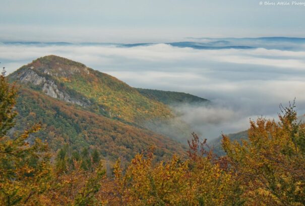 Reggel ködös, délután napos időre számíthatunk szerdán