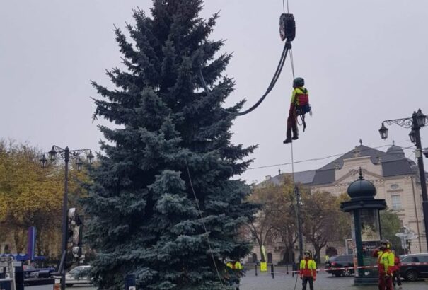 Már a pozsonyi Hviezdoslav téren is áll a karácsonyfa