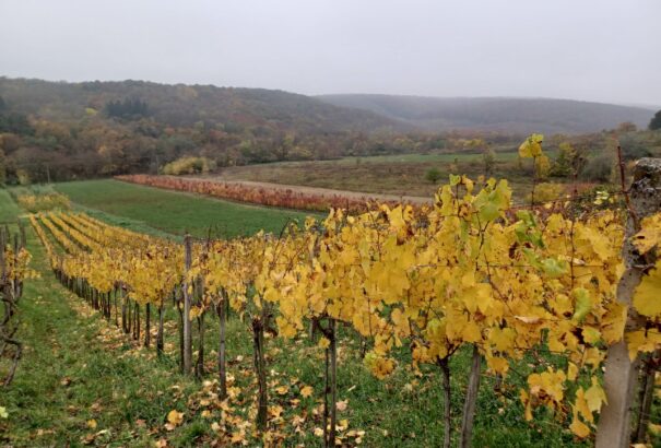 Barangolás Bátorkeszi dombjain