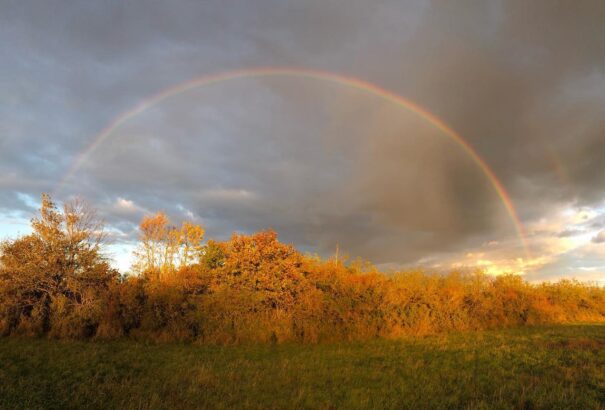 A reggeli párás, ködös idő után napsütés várható mindenszentek napján