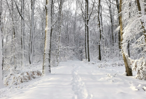 Marad a fagypont alatti hőmérséklet