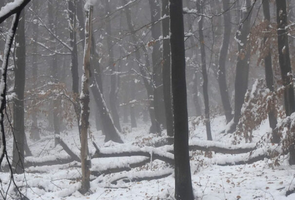 Beköszönthet a havazás