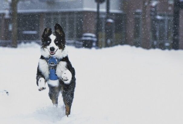 Időjárás-előrejelzés: hétvégén az alföldön is havazhat