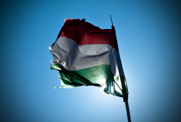 A Mi Hazánk szerint „magyartalanítás” zajlik Ukrajnában