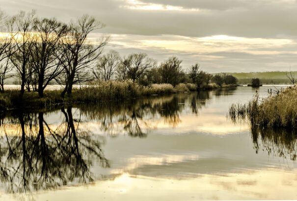 Háromkirályok ünnepén is folytatódik az enyhe tél