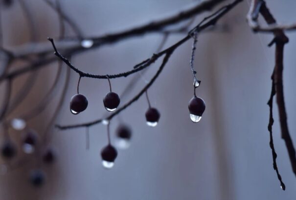 Kedden esőre, havazásra számíthatunk