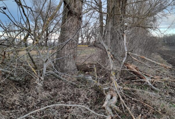 A Csallóközben is tombolt a szél – Képekkel