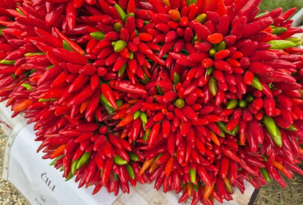 Vásári forgatagok az ősz jegyében – Képekkel