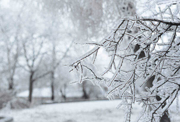 Öltözzünk fel melegen! Egyes járásokban mínusz 23 Celsius-fokig csökkenhet a hőmérséklet