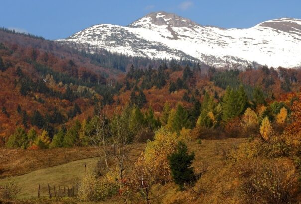 A Szlovák Földalap közzétette az ismeretlen tulajdonú földek jegyzékét