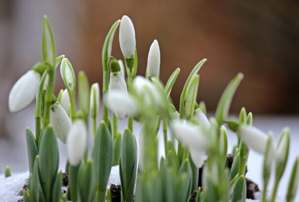 Lassan megkezdődik az enyhülés