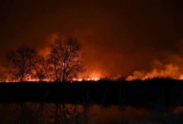Csaknem egy napon át lángolt a nádas a Fertő-tó ausztriai oldalán