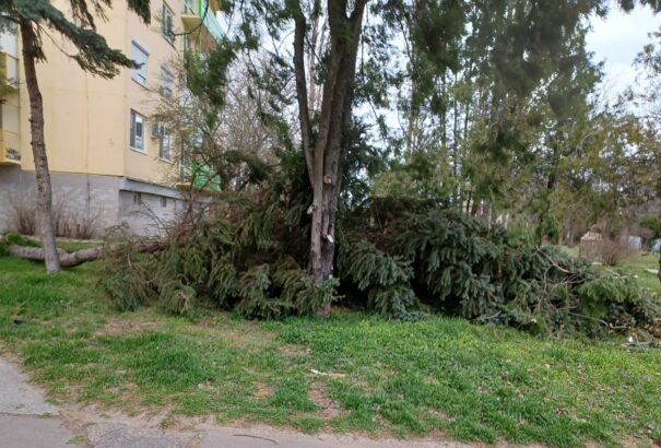 A viharos erejű szél nem kímélte Komáromot sem – Képekkel