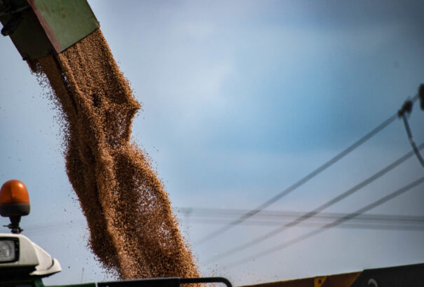 „Megdöbbentő és igazságtalan” – az európai gazdák szervezeténél is elszakadt a cérna Brüsszel döntése miatt