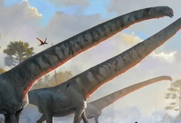 15 méteres nyaka volt egy most azonosított dinoszaurusznak – hatszor hosszabb, mint egy zsiráfé