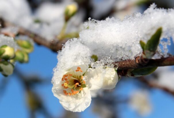 Napokon belül visszatér a tél, sarkvidéki levegő érkezik a Kárpát-medencébe