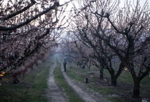 Éjszakai fagyra figyelmeztet a Szlovák Hidrometeorológiai Intézet